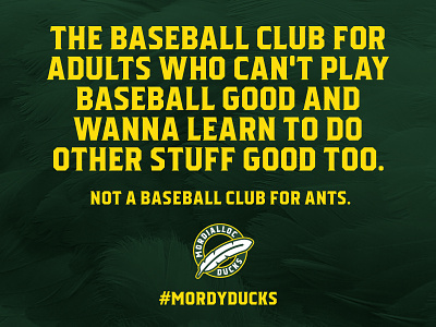 Mordialloc Ducks Social Media Graphics baseball ducks mordialloc sport design sports