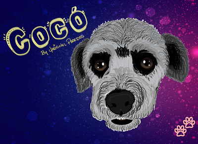 Coco animation art clip studio paint crayon crayons design hand drawn handmade illustration illustrator
