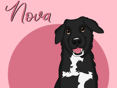 Nova art cartoon disney hand drawn handmade illustration illustrator pets