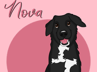 Nova