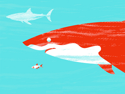 Orange Shark adobe illustrator great white shark minimal ocean playful texture
