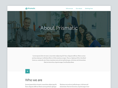 Prismatic Team Page about clean culture flat layout minimal prismatic team web