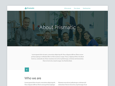 Prismatic Team Page