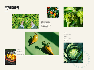 Moodboard delivery design figma food green landing ui ux web webdesign website xd