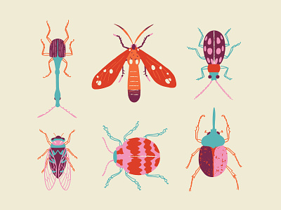 Bugs bugs fun illustration insects nature practice vector