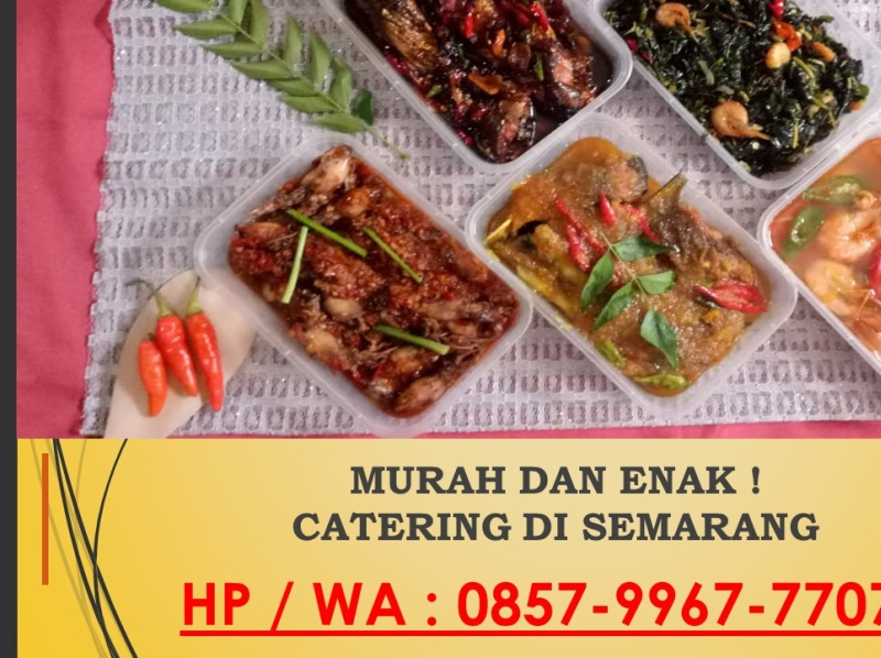 CATERING ENAK DAN MURAH CANDISARI SEMARANG, 085799677707