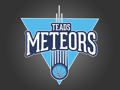 Teads Meteors Logo badge basket logo team