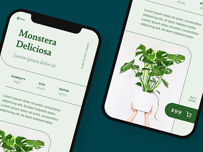 Plant shop app bely commerce design eshop figma graphic design green light line minimalistic mobile monochromatic orpheus pro phone plant proxima nova responsive ui webdesign