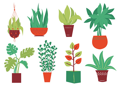 Vector illustration.Home plants in flat style