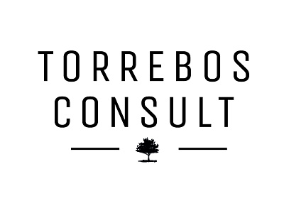 Torrebos consult logo corporate identity design logo logo design