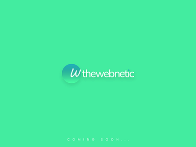 Thewebnetic - UK Based Web Design agency agency agency logo colorful logo logo design minimal typography web design website