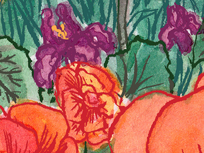 Everything's Abloom bearded irises begonias flowers gouache illustration ink