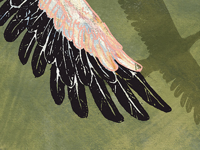Feathers - WIP editorial illustration feathers shadow