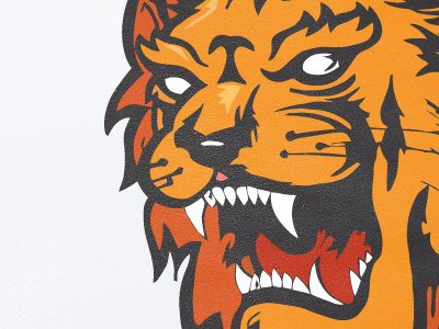 Lion illustration lion orange pad red