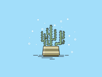 Bunch'o Cactus