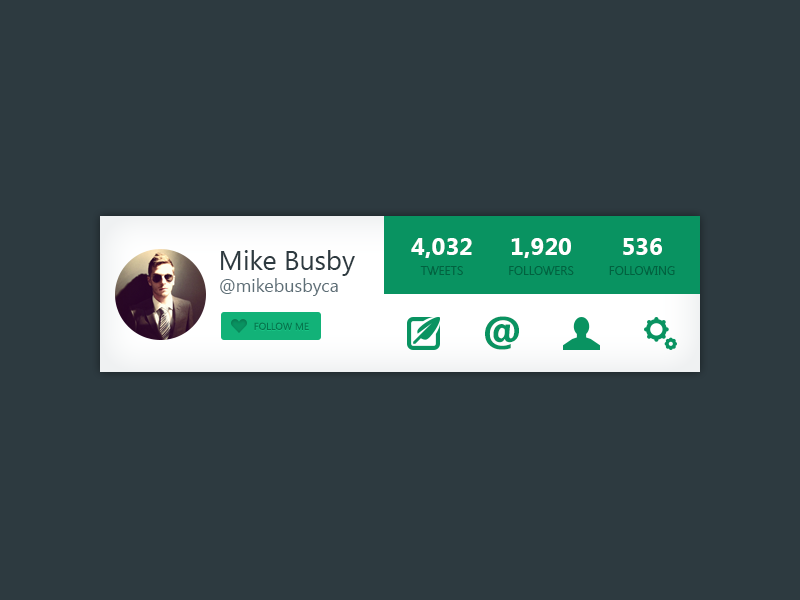 Twitter Widget twitter widget follow tweet interface ui user interface mikebusby