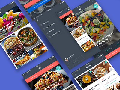 My Flavors food ios mobile app product design recipes