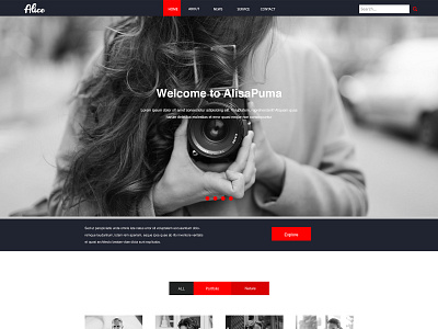 Website Design