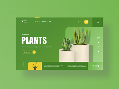 aloevera website figmadesign ui ui ux uidesign webdesign website design