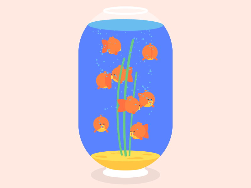 More Goldfish