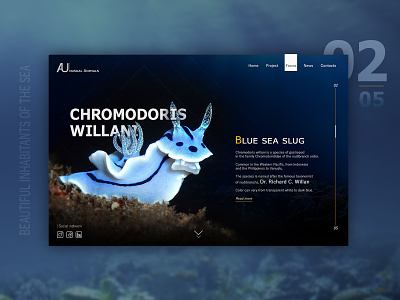 Amazing inhabitants of the sea №2 branding colorful design interface key visual retouch typography ui ux web design взаимодействие природа
