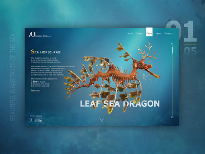 Amazing inhabitants of the sea №1 branding interaction interface key visual retouch typography ui ux web design природа путешествие