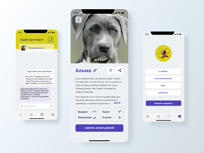 Animal Shelter Interface animals app app design cat concept design dog interface ios ios app design mobile mobile ui pet shelter ui ux ux ui