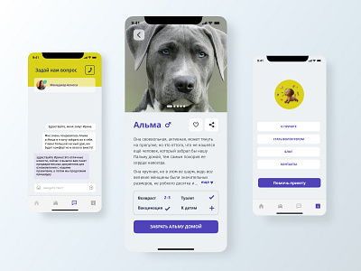 Animal Shelter Interface