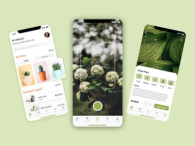 Plant shop & reserch mobile app app app design design design app flower green identifier interface plant app plant shop scan search shop ui ux