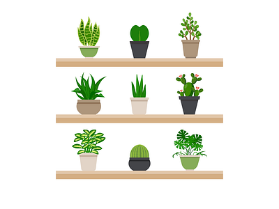 Plants Shelf