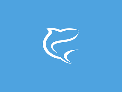 shark brand logo logo design shark shark logo
