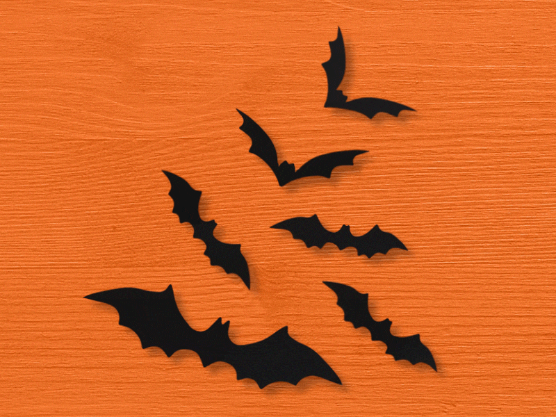 Halloween Bat Animation adobe creative cloud after effects animation bats halloween motion graphics