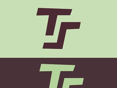 TZ branding design icon illustration logo typography vector