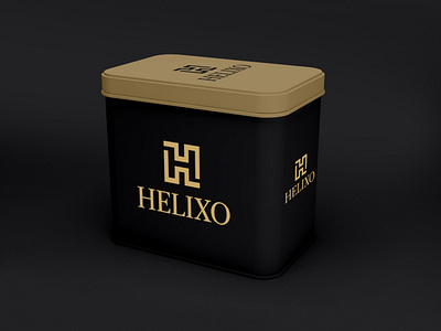 Helixo Logo booklet branding brochure club flyer corporate flyer design illustration logo ui vector