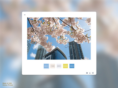 Daily UI 060 • Color Picker 060 color color pallete color picker colorpickerdesign daily100 daily100challenge dailyui dailyui060 dailyuichallenge design palette palette design photo photography sketch ui uiux web webdesign