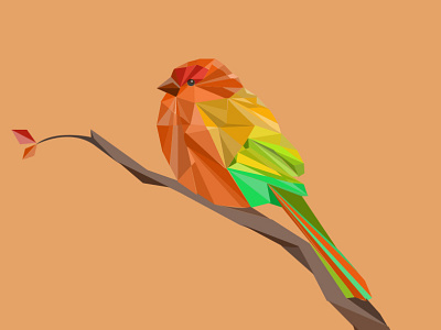 Polygonal Bird