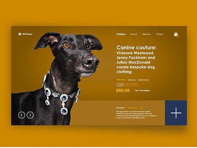 UI / canine couture canine canine couture cat digital dog figma ui ui design web design website