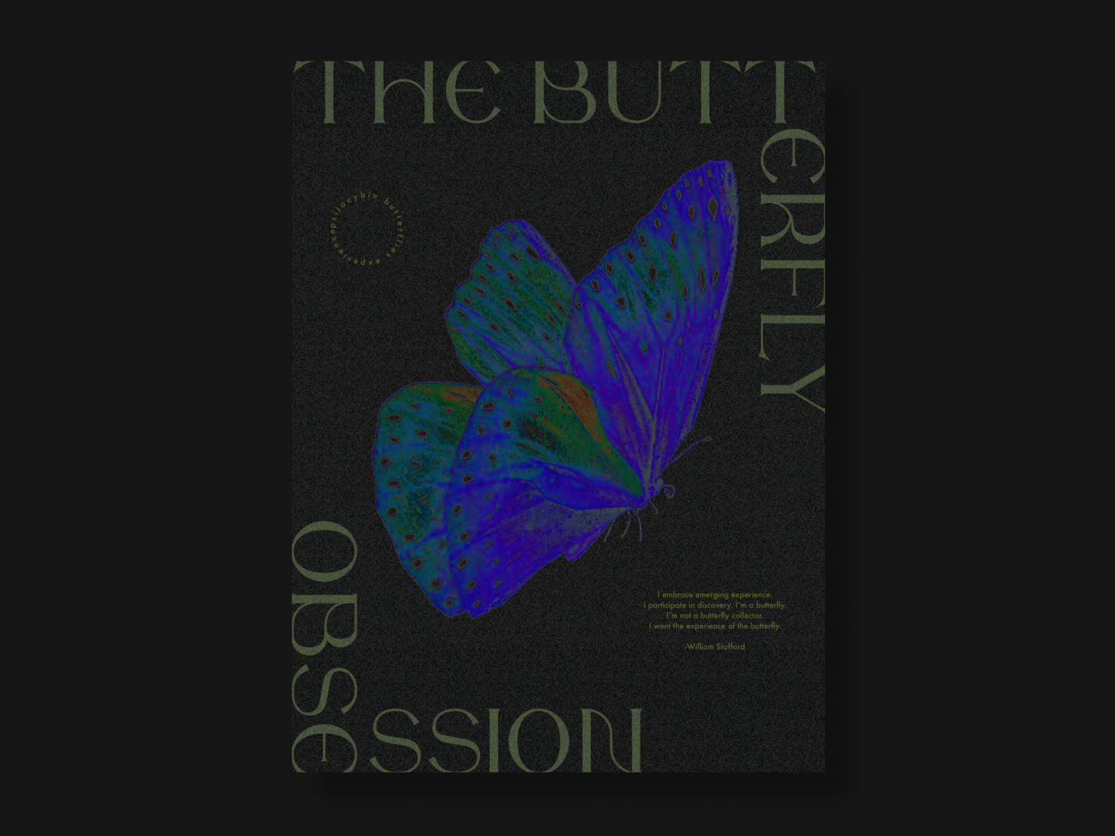 The Butterfly Obsession by Isha Sharma on Dribbble