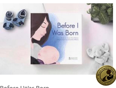 Before I Was Born - Award Winning Book By Moms Choice Awards amazon award award winning awards babies baby baby shower book books boys children childrensbook girls kids moms momschoice momschoice pregnancy pregnant siblings
