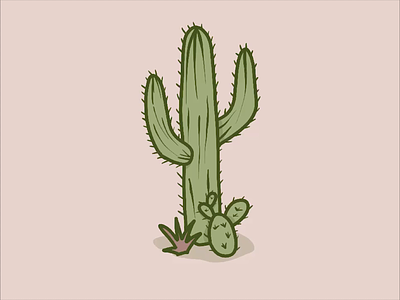 Cactus sketch to color cactus drawing illustration procreate sketching