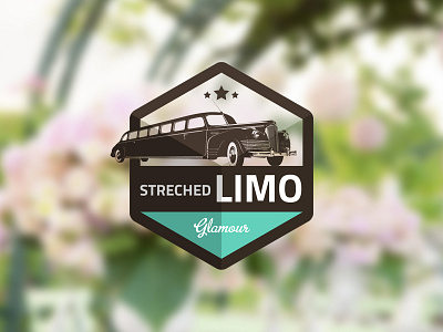 Streched Limo Gift app apple badge flirt gift icon limo limousine love square stars streched