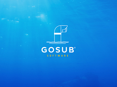 Gosub Software - Revamped