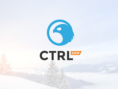 CTRL logo, snow version