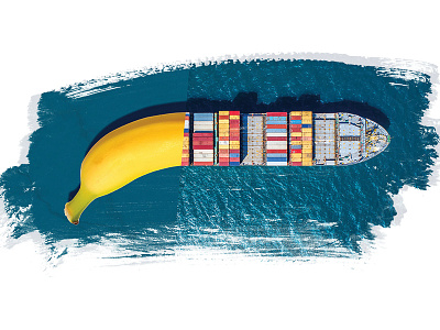 Fruit Transportation container fruit otflow reduce waste shipping transport