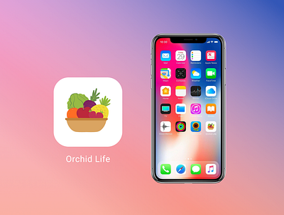 Daily UI 005 Orchid Life 005 beginner dailyui dailyui 005 dailyui005 figma