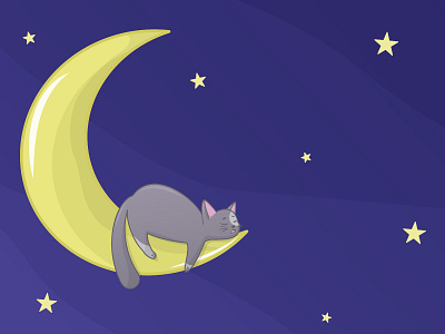 Cat  on the moon