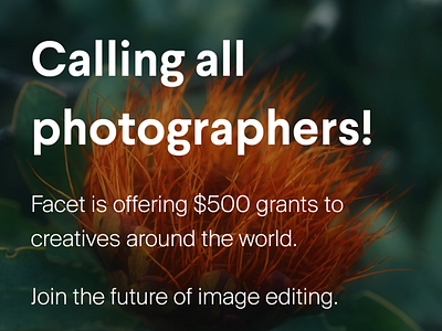 Creator Grants from Facet.ai community grants madewithfacet photography