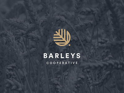 BARLEYS concept graphic graphic design logo logo design