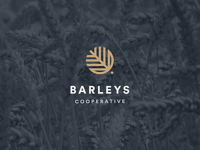 BARLEYS concept