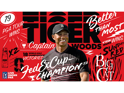 Tiger Woods Player Poster Twitter Post